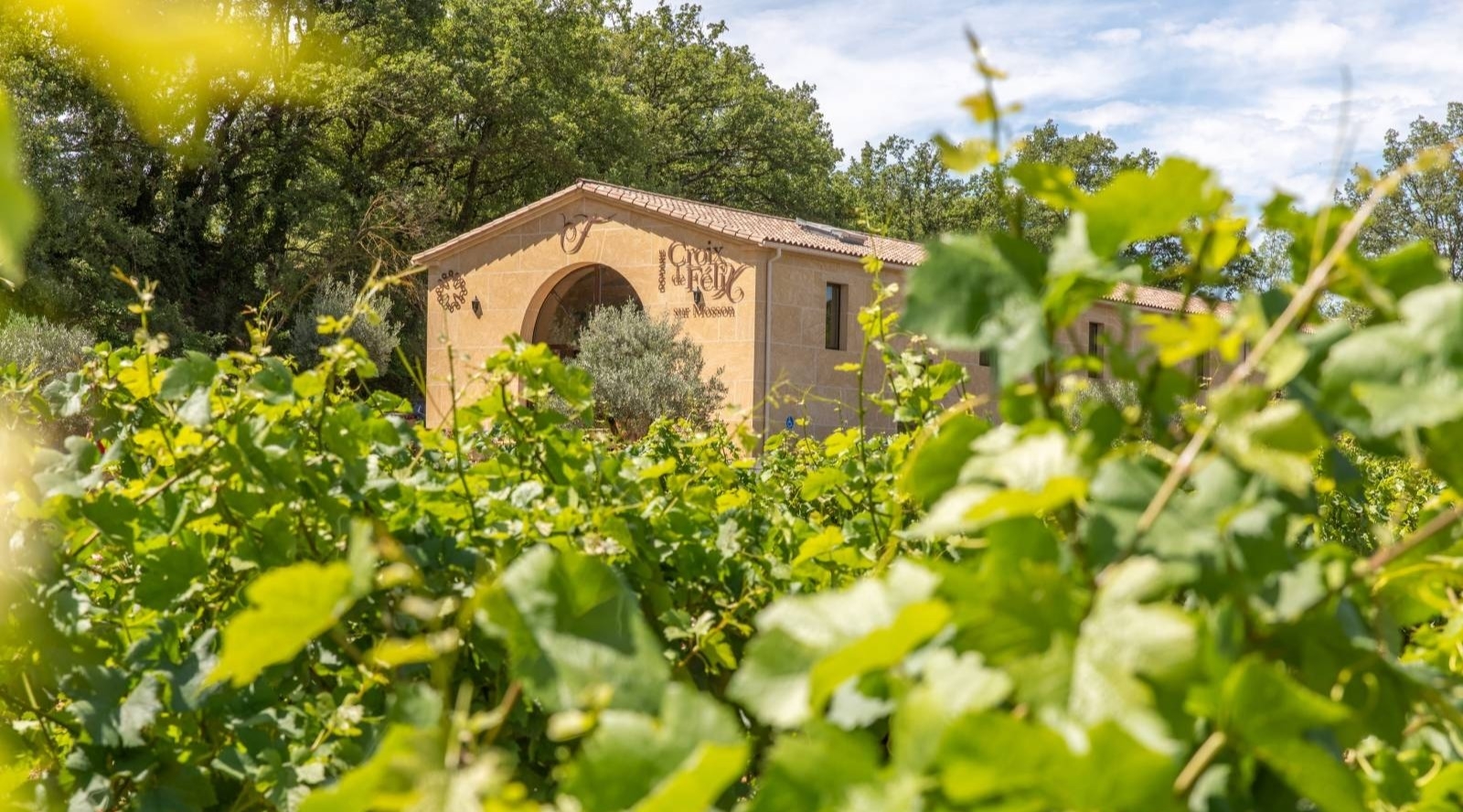 Evénements privés et professionnels organisés au Domaine Croix de Félix