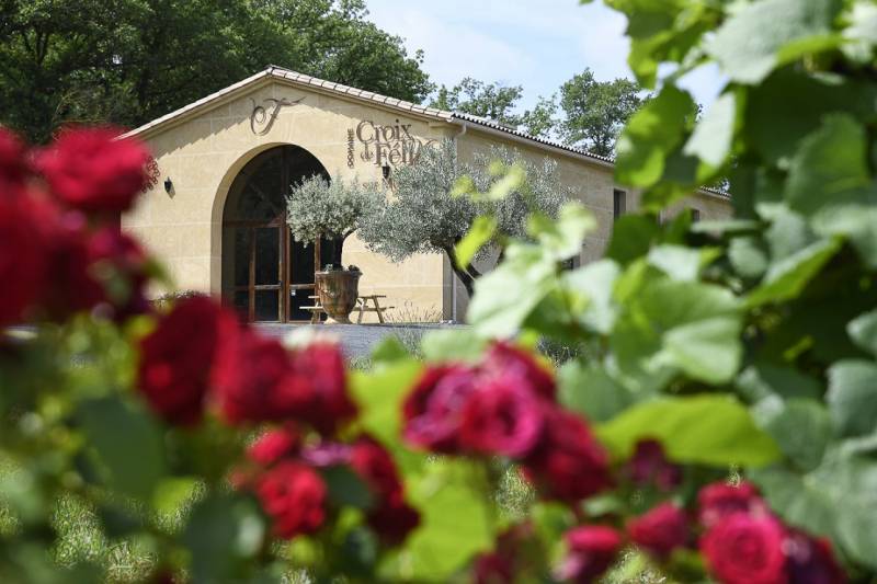 les roses du Domaine