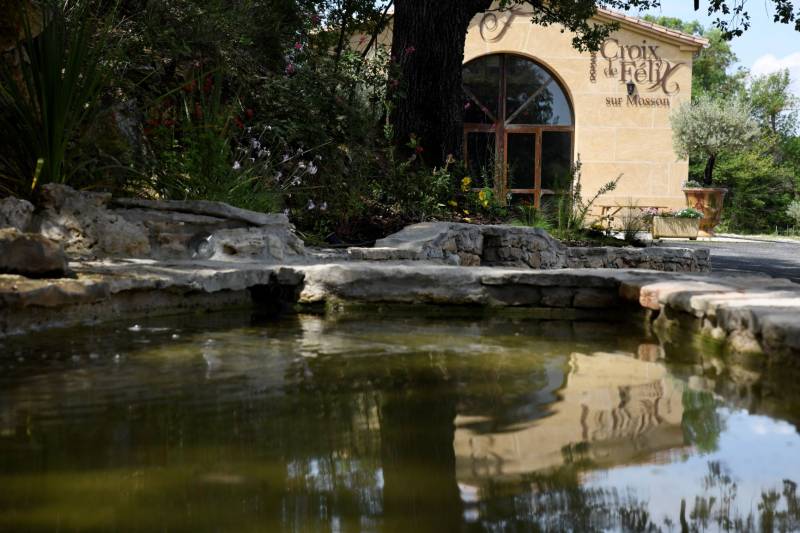 fraîcheur et apaisement