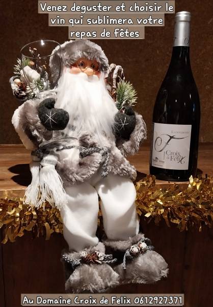 Dégustation des vins du Domaine Croix de Félix